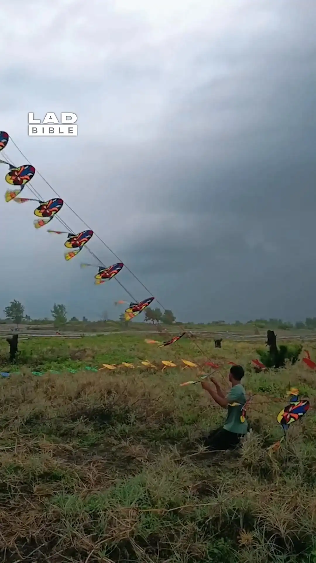 Flying crazy kites in Indonesia πͺ