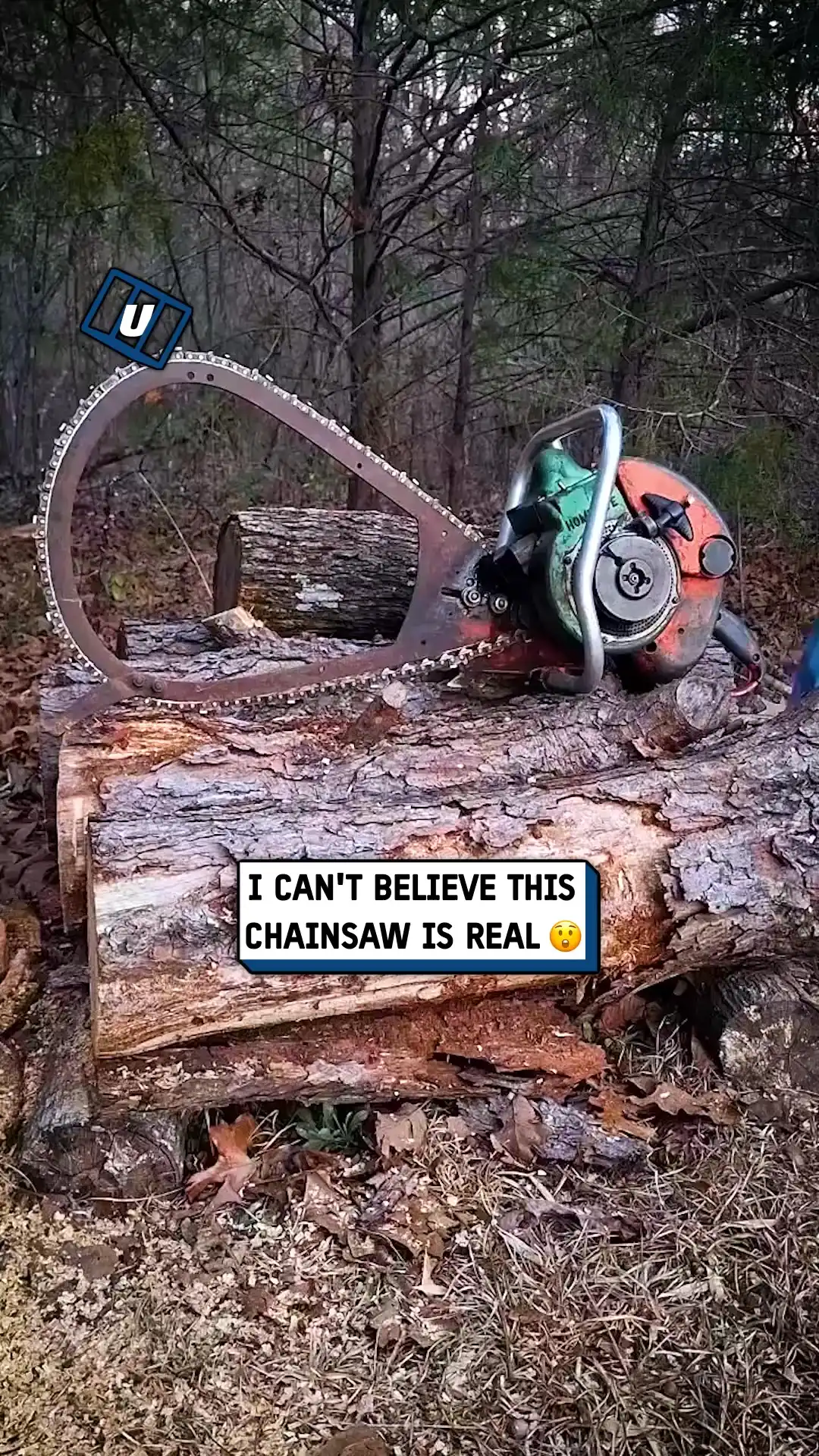 Vintage 1955 chainsaw 🪵🤯