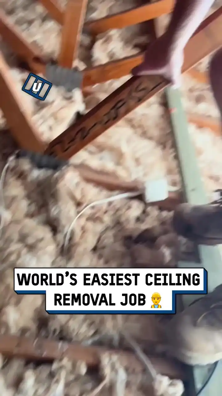 World's easiest ceiling removal job 😲🏚️