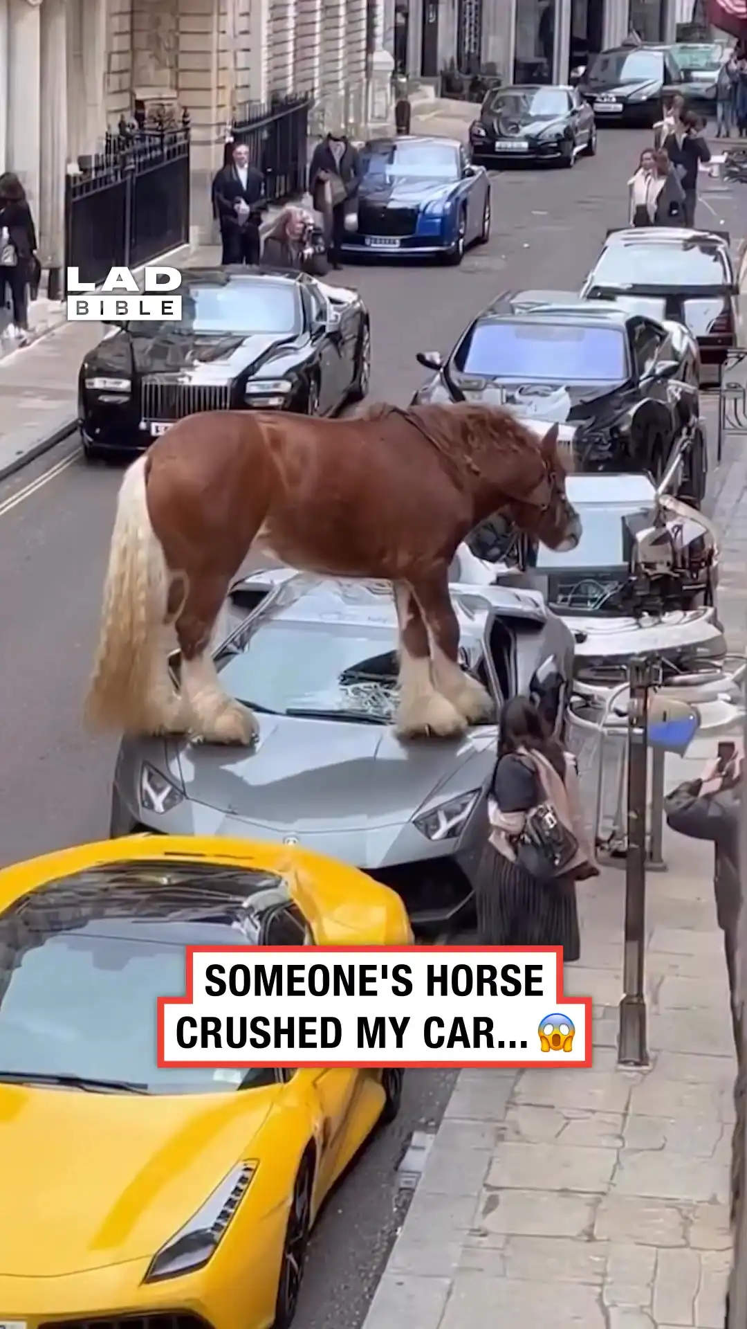 Someone's horse crushed my Lamborghini π¨π΄