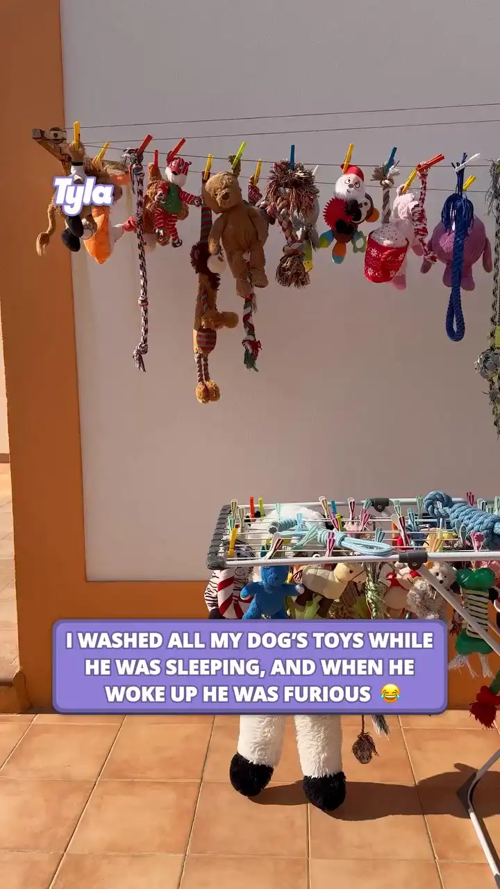 He may forgive, but he'll never forget this betrayal 😂