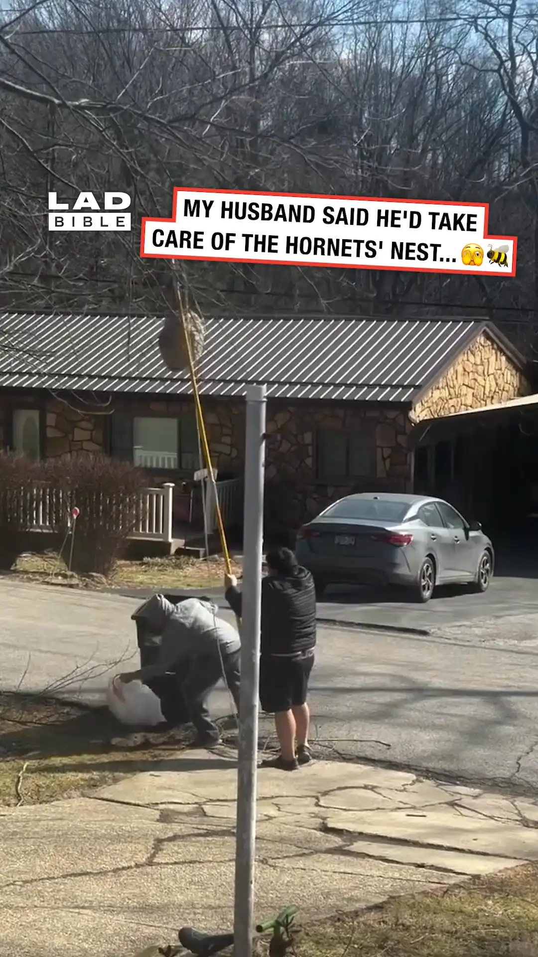 My husband and the neighbour took out a hornet's nest 😳🫣