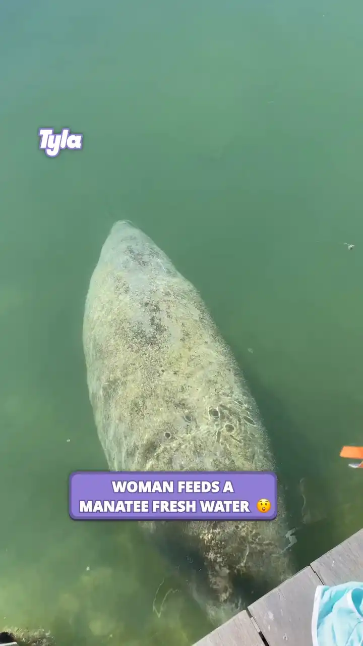 Only fresh water for this guy 😂