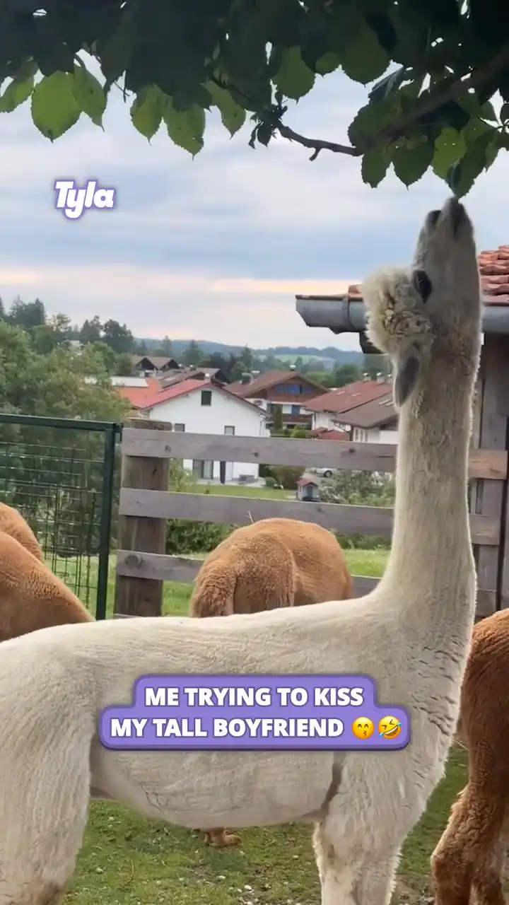 I'd hate to see his POV 😂