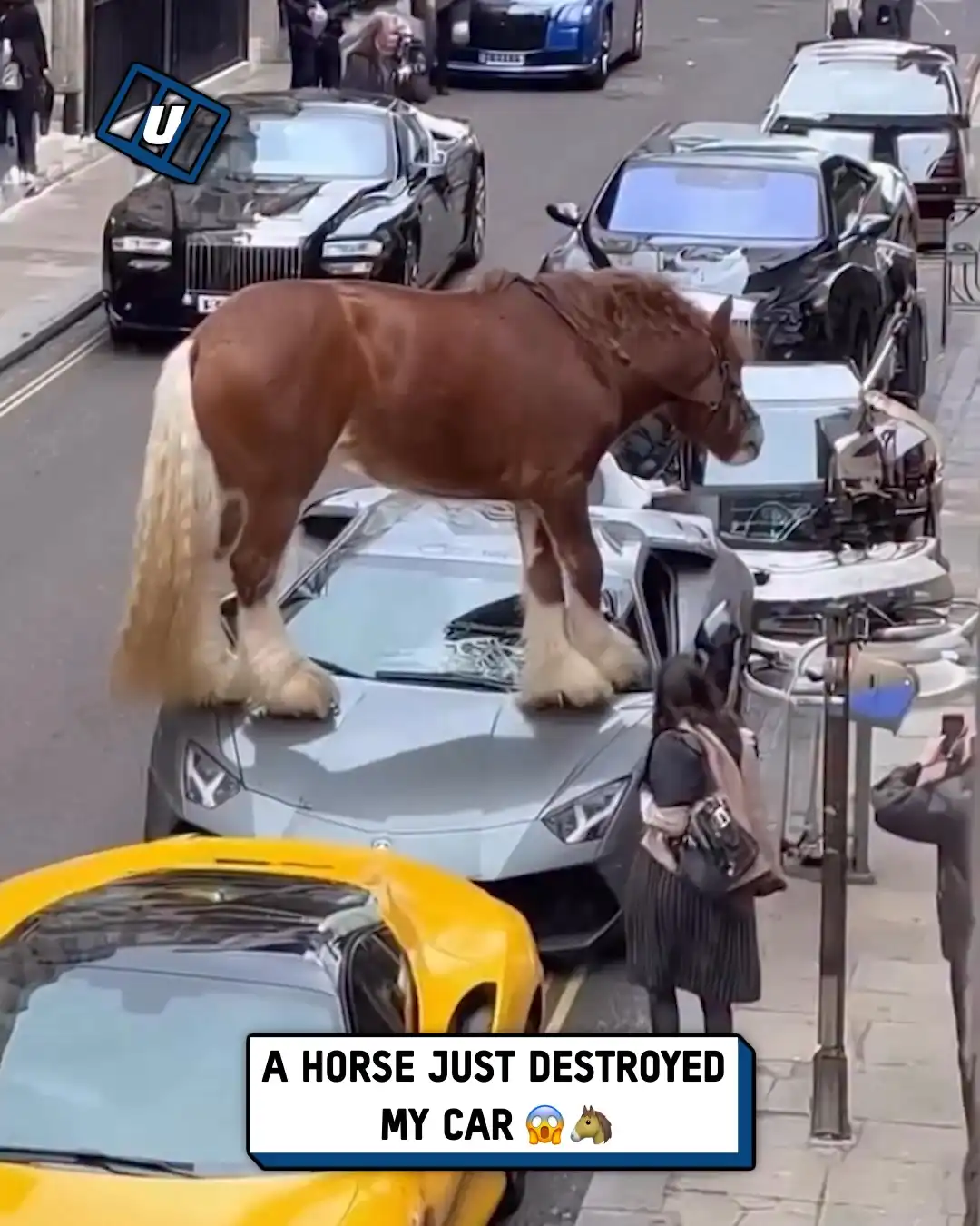 Horse crushes parked cars 😱🐴