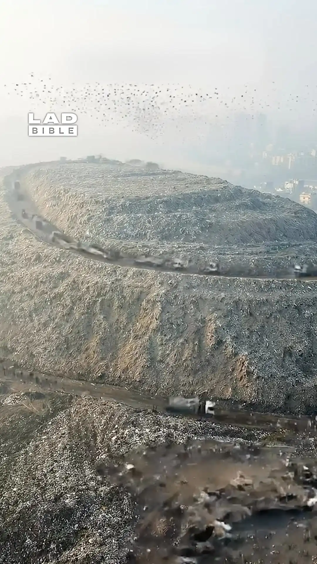 Hill clearing timelapse 🤯