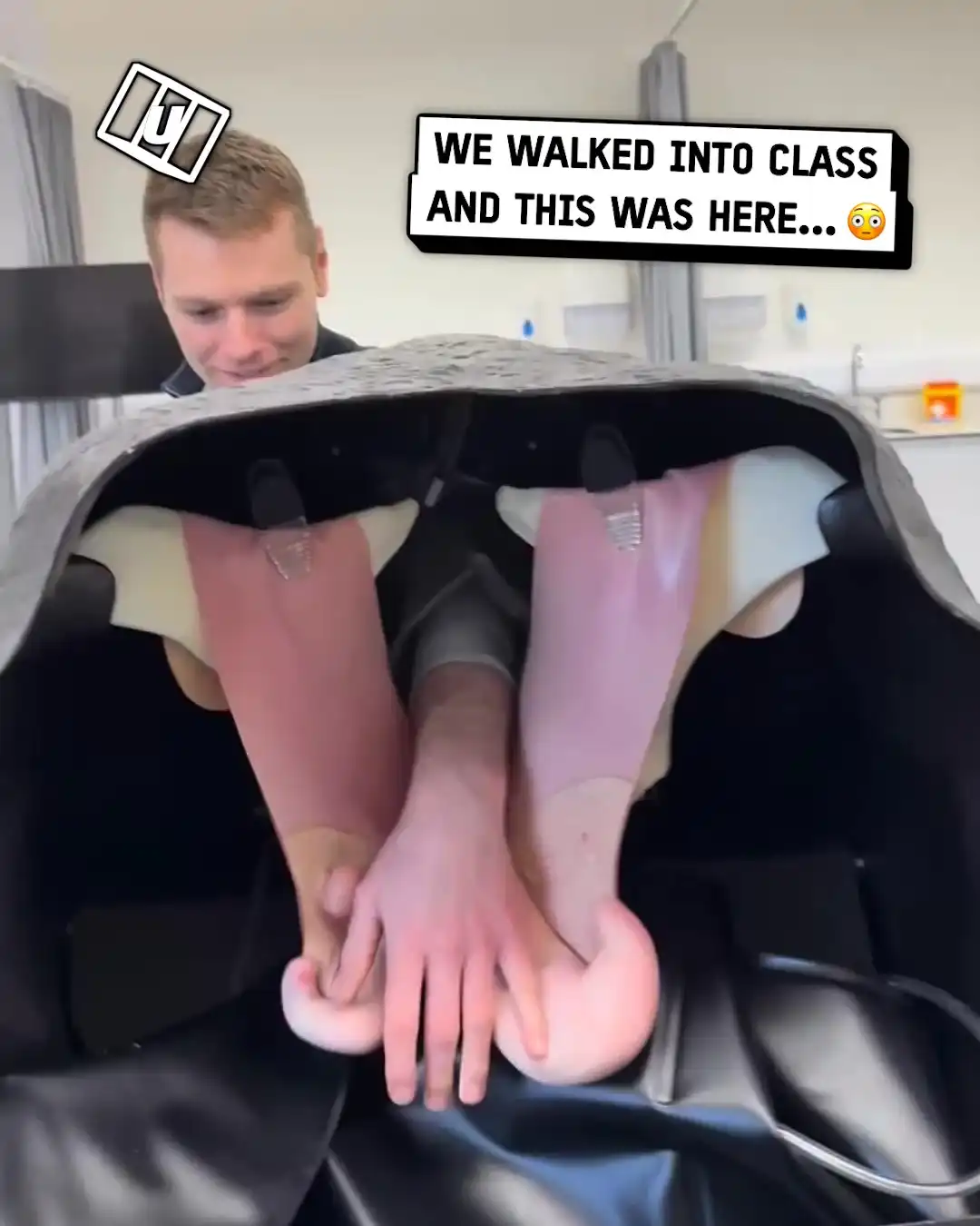 Cow simulator is so sus  🤢