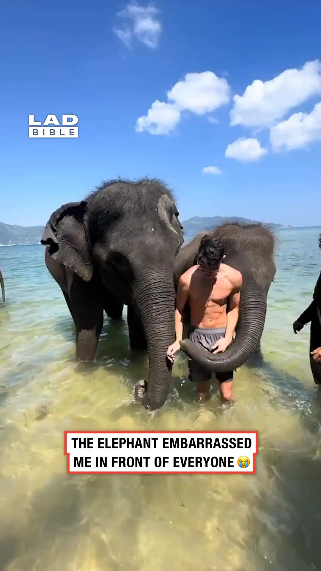 Elephant gets over excited ๐๐คฃ