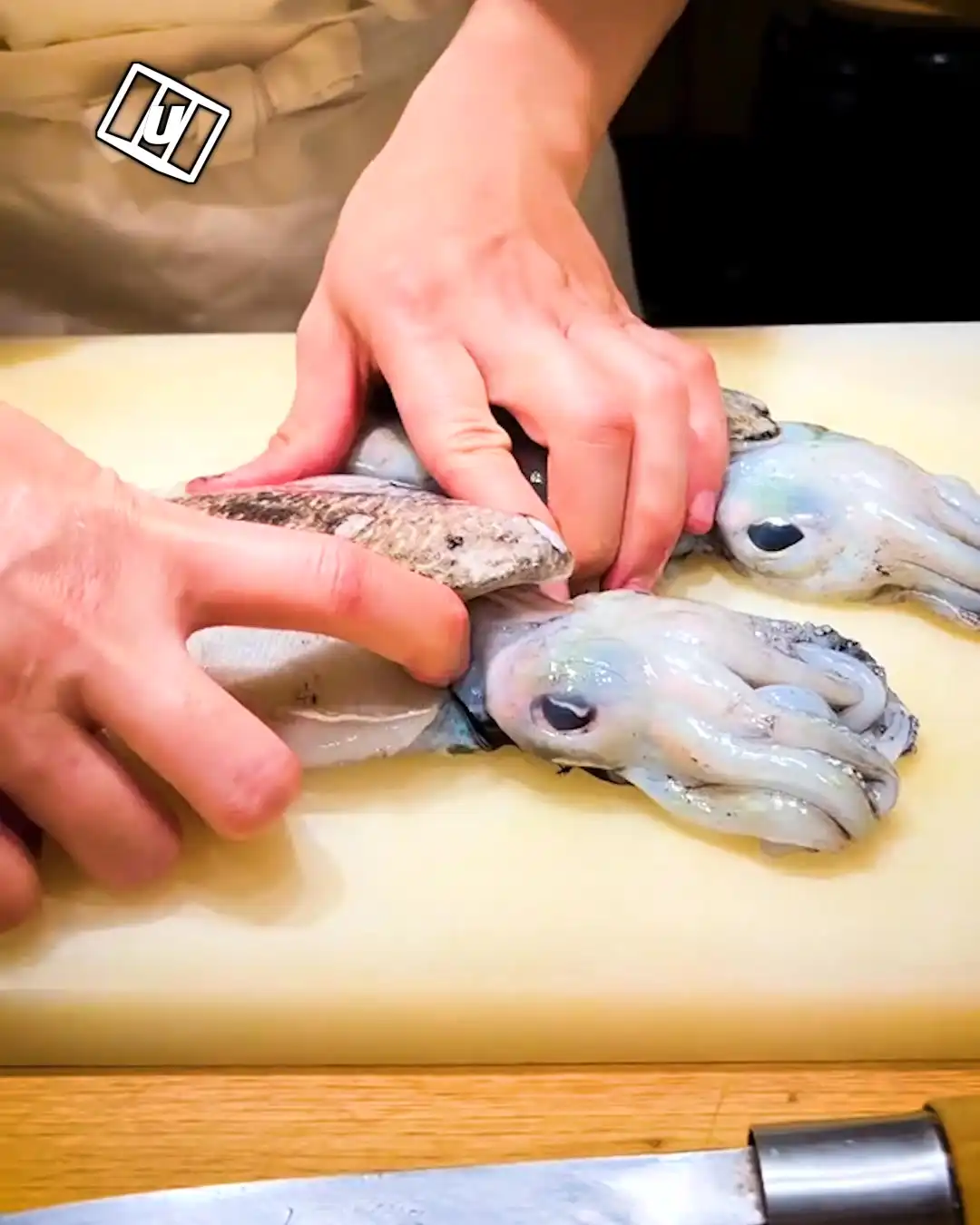 Satisfying cuttlefish ink clean