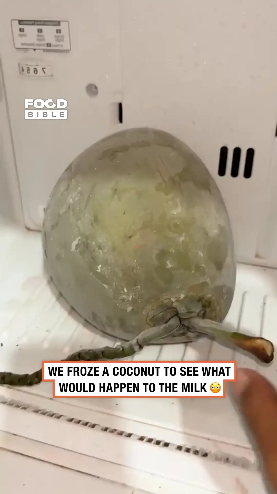 Chopping a frozen coconut 🥥