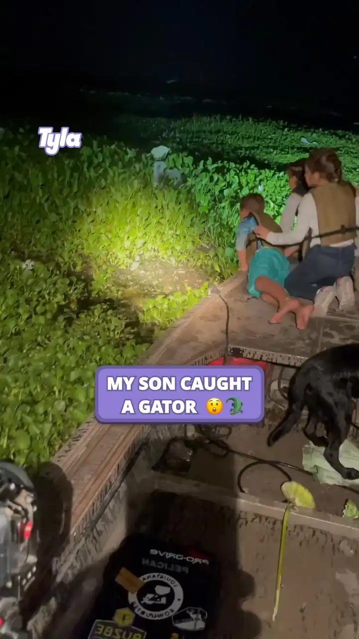 They were just out looking for frogs 😲🐊