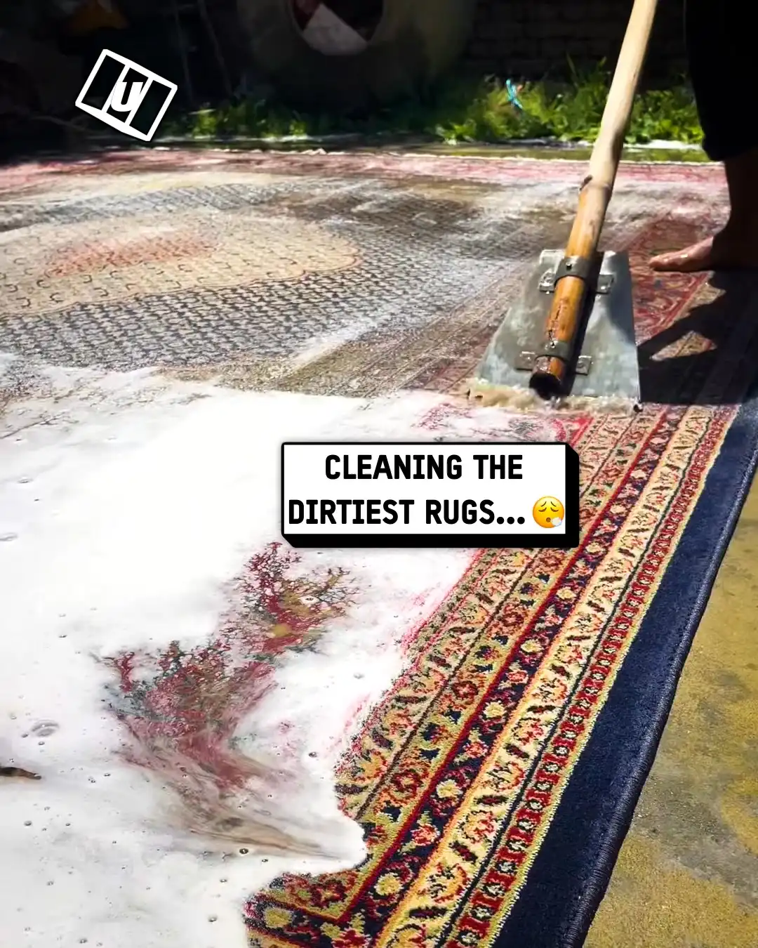 Cleaning a filthy rug 🤢💦