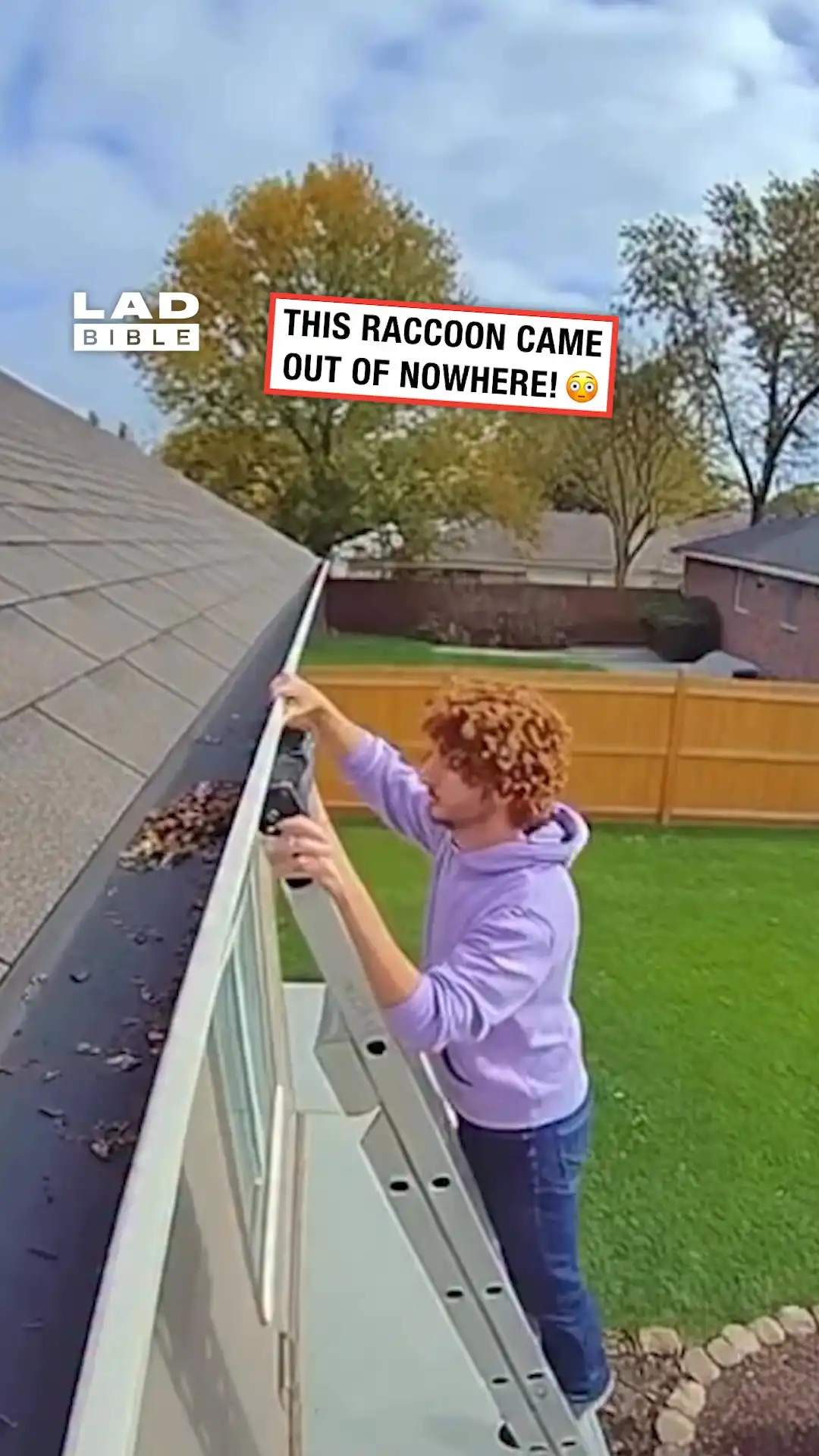 Raccoon Came Out of Nowhere 😳🦝