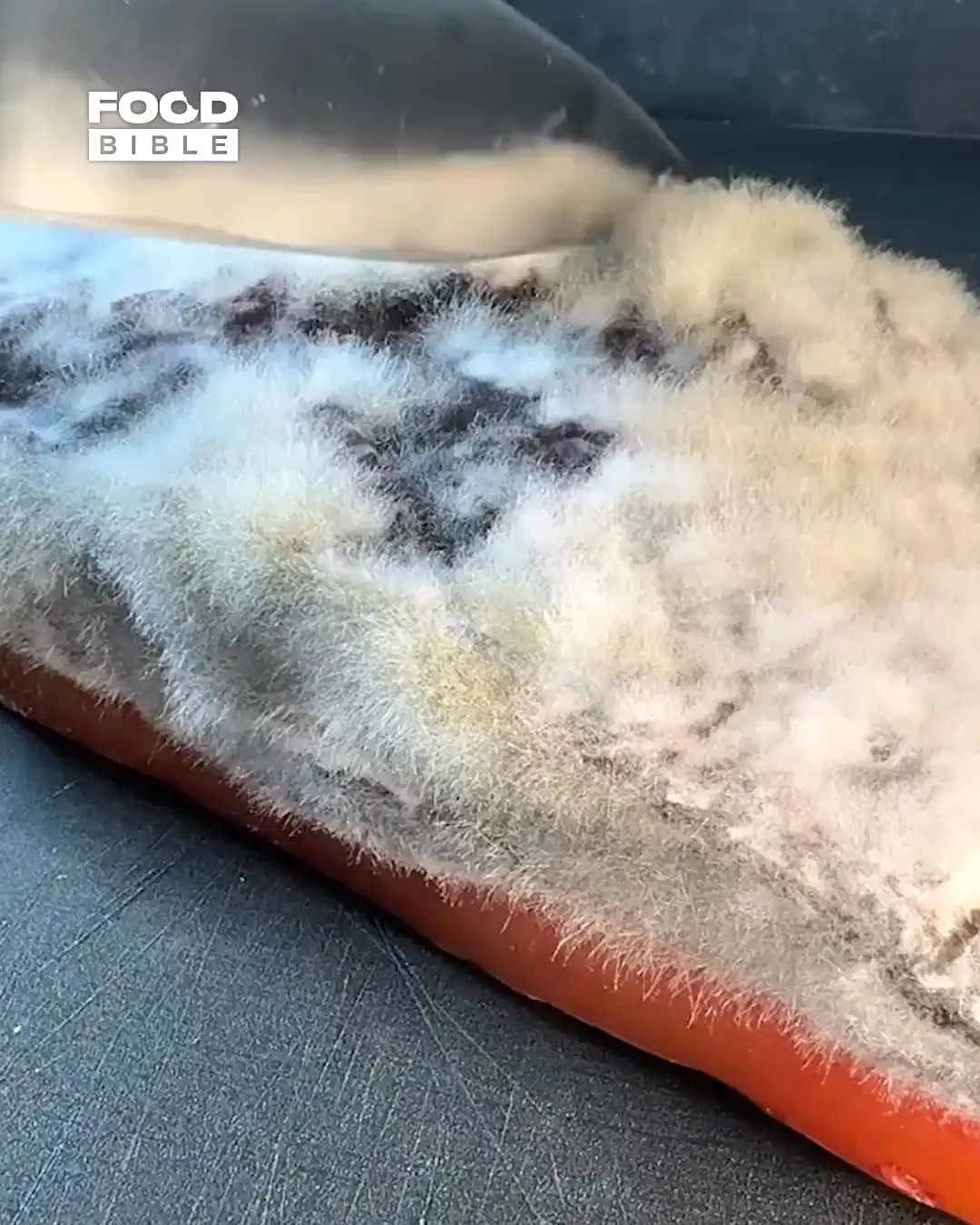 Fungus aged tuna π£