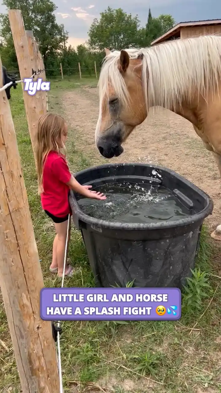 They both put up a fair fight 😂🥹