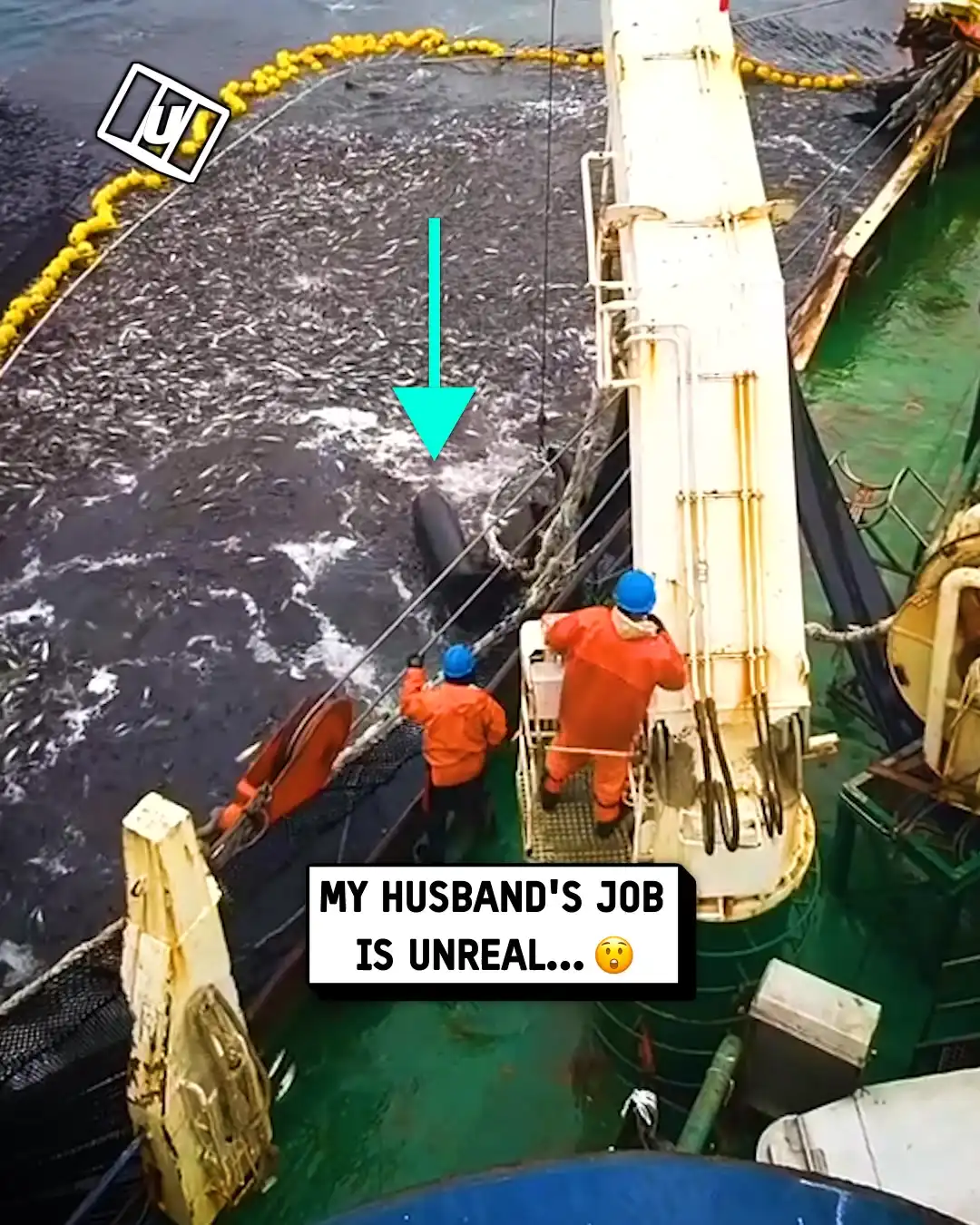 Husband's fishing boat catch