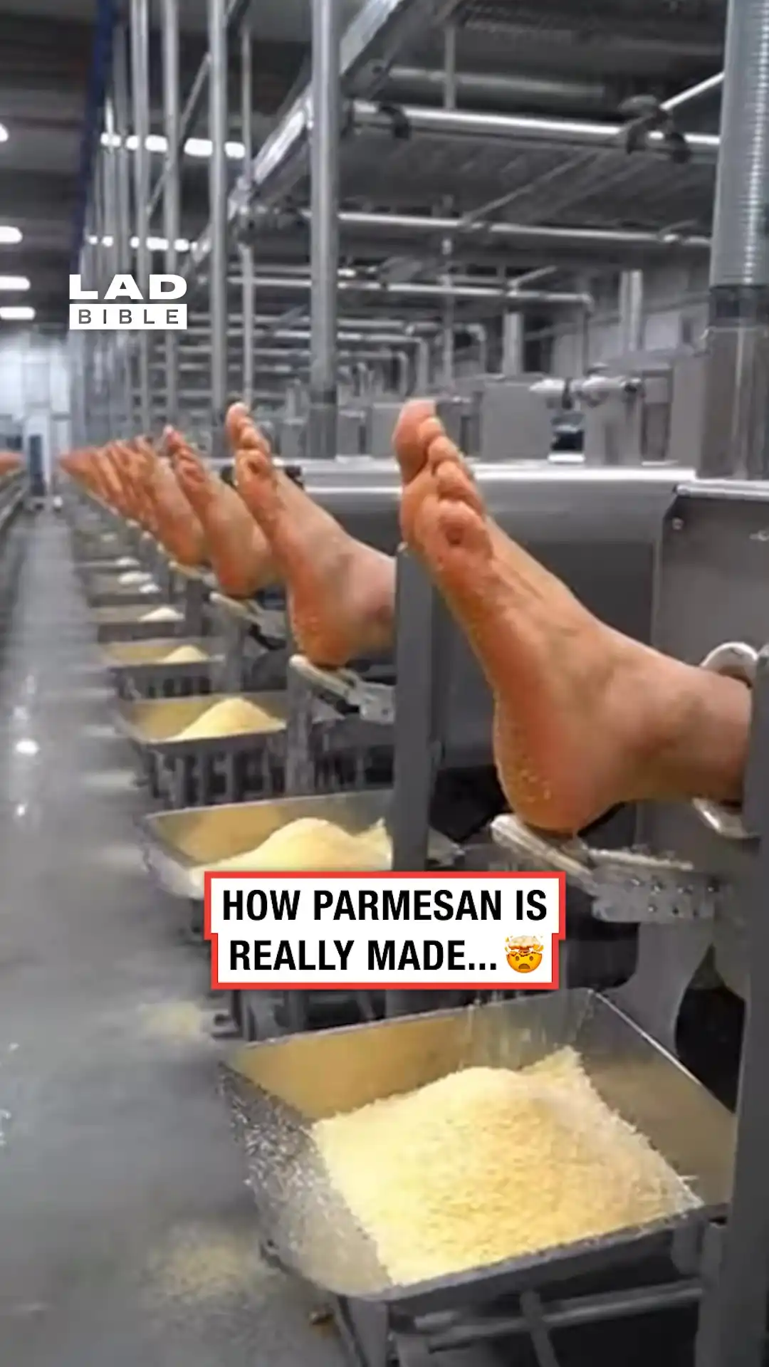 How parmesan is really made 🤯