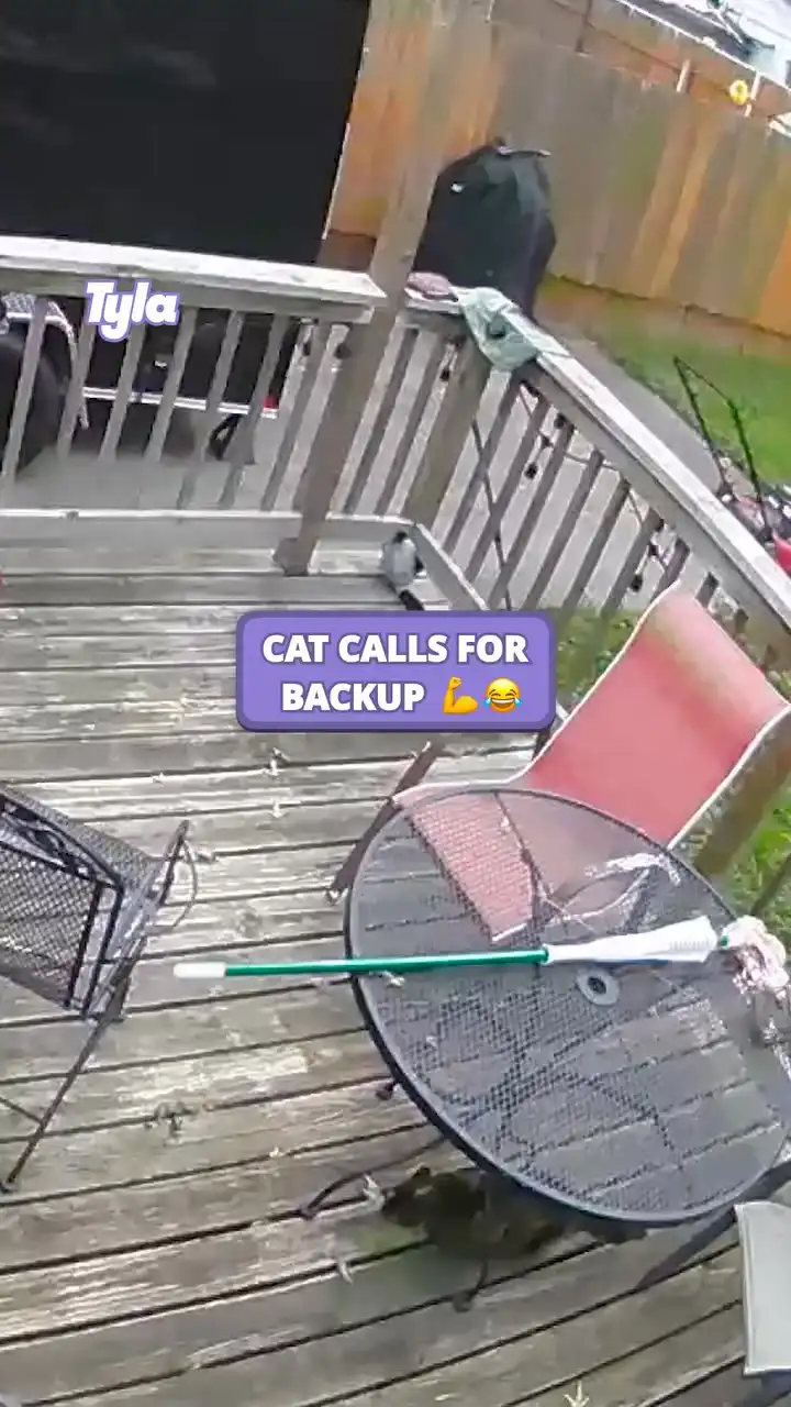 She knew she was struggling so called in reinforcements 😂