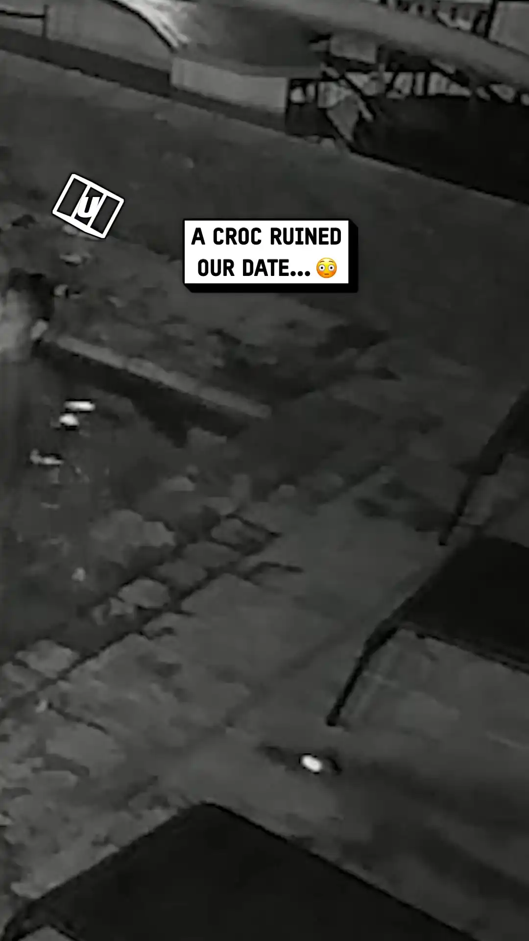 Croc attacks couple in private swimming pool