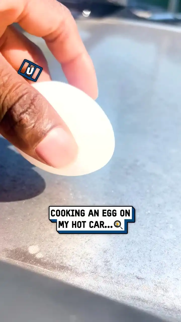 Cooking an egg on my hot car 🥵🍳