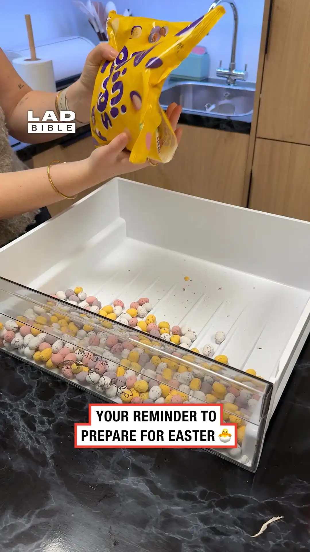 Mini egg fridge drawer π£π«