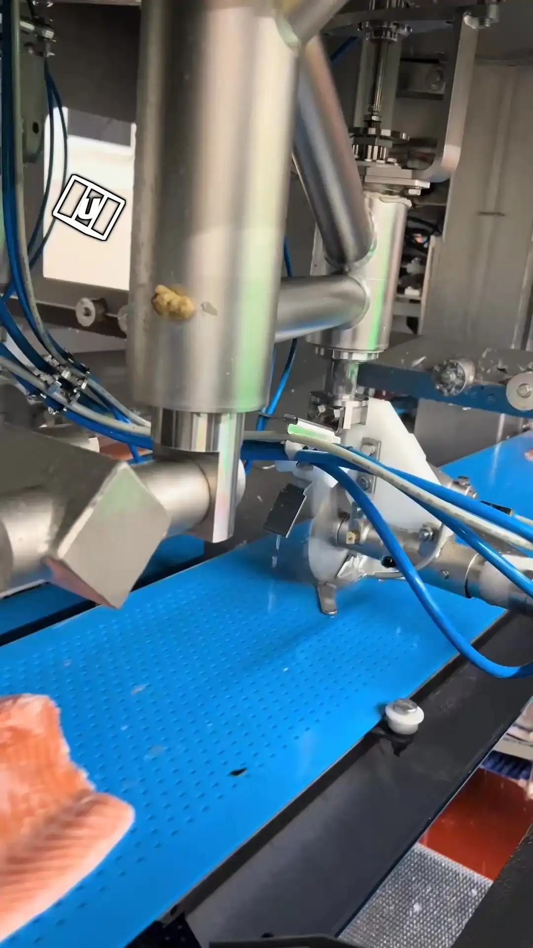 Satisfying salmon processing