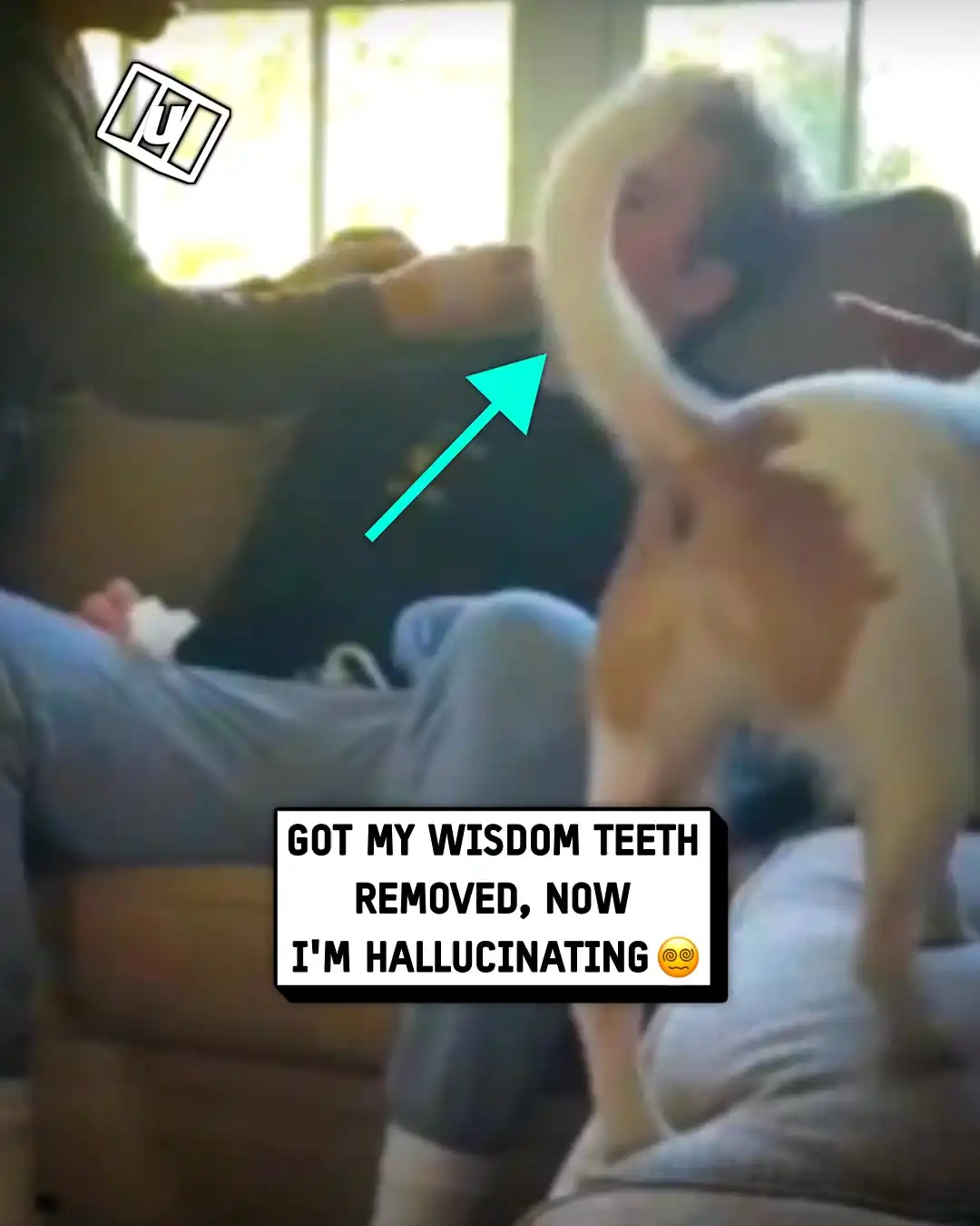 I lost it after getting my wisdom teeth removed ๐