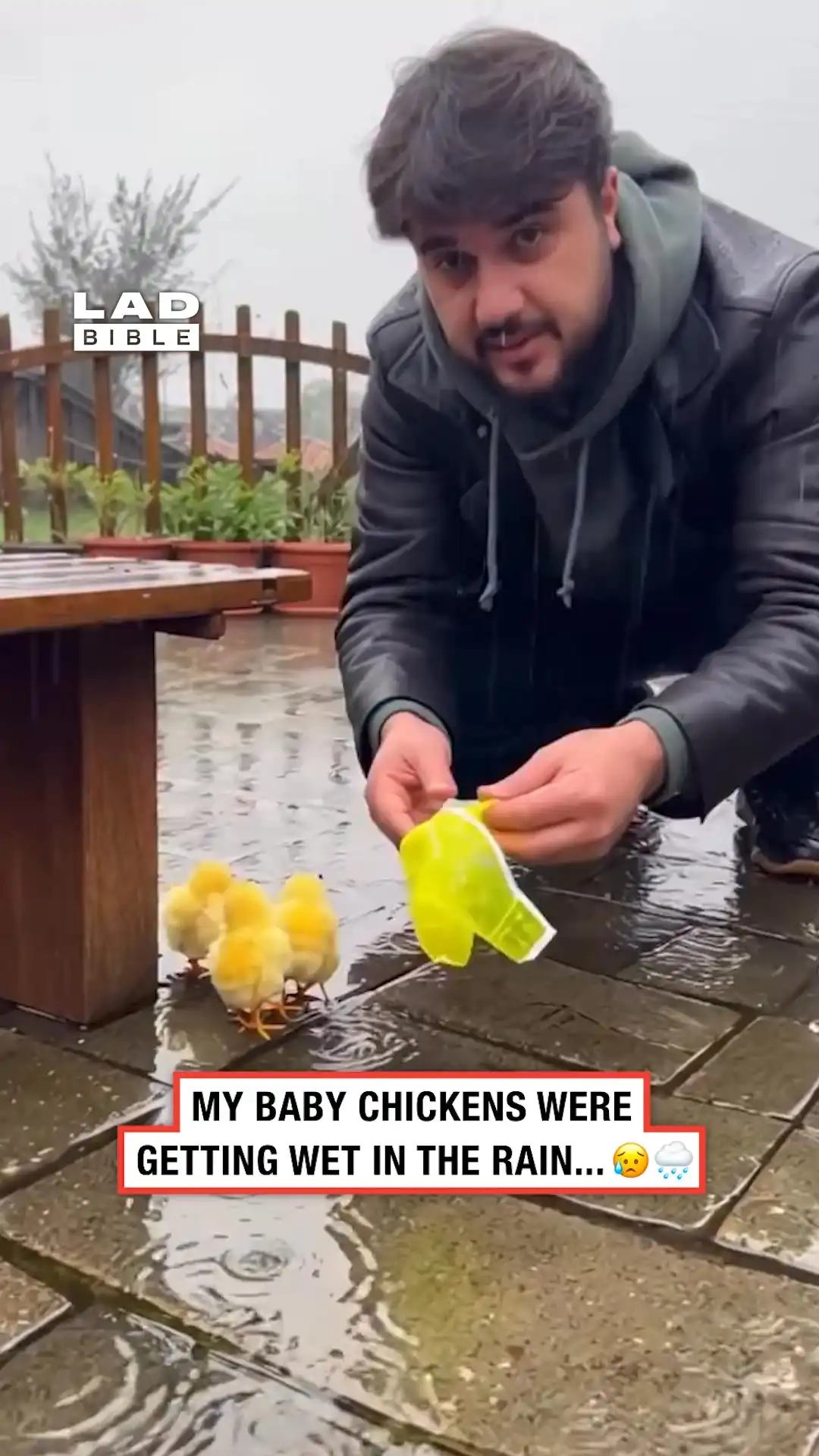 I made rain jackets for my baby chickens 👏🌧️