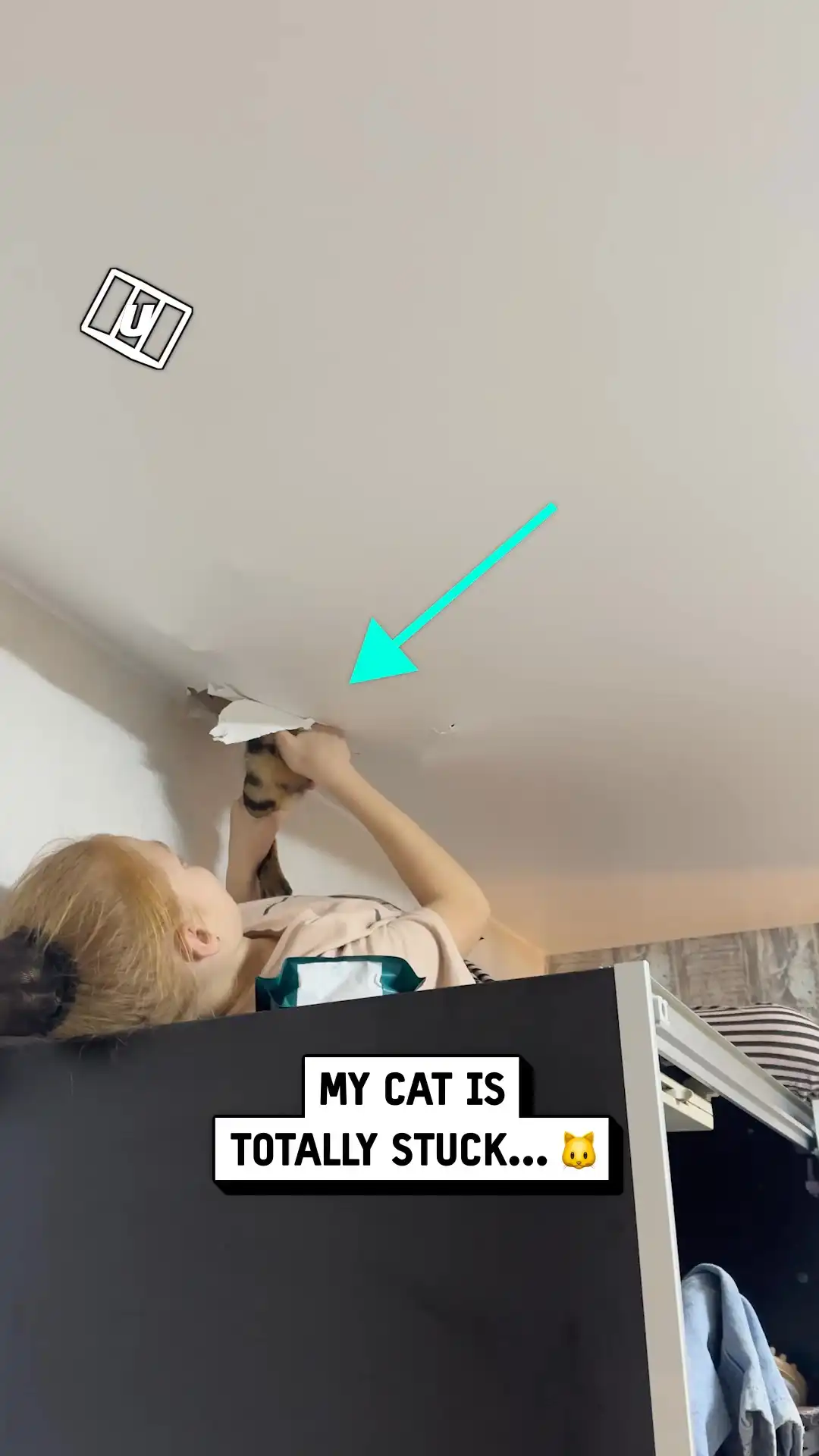 Rescuing a Cat From a Stretch Ceiling
