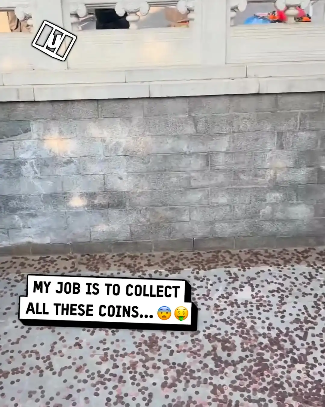 My job is to collect all the coins 👀