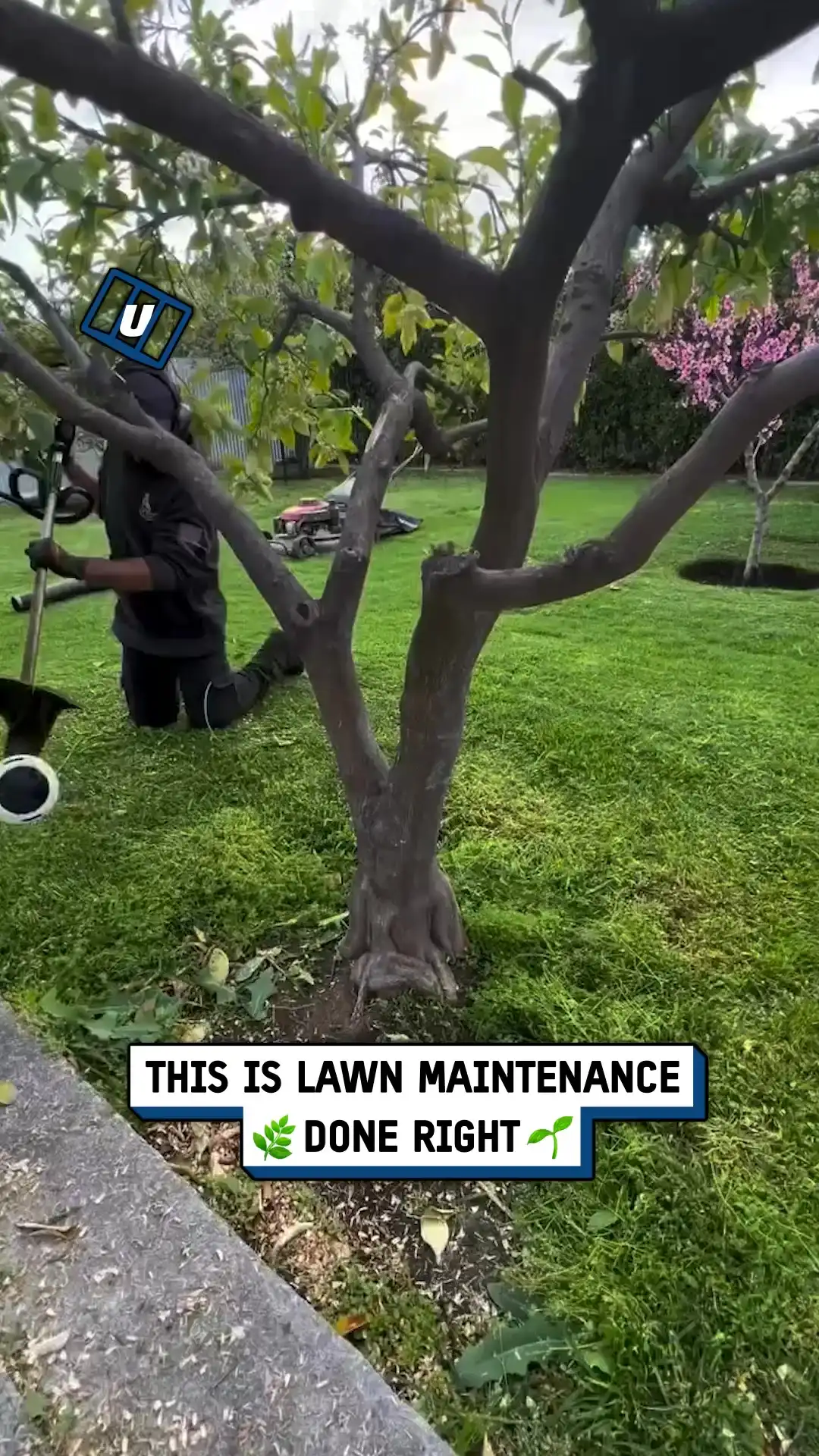9x16 Satisfying lawn maintenance in action TECH fb ST00159749