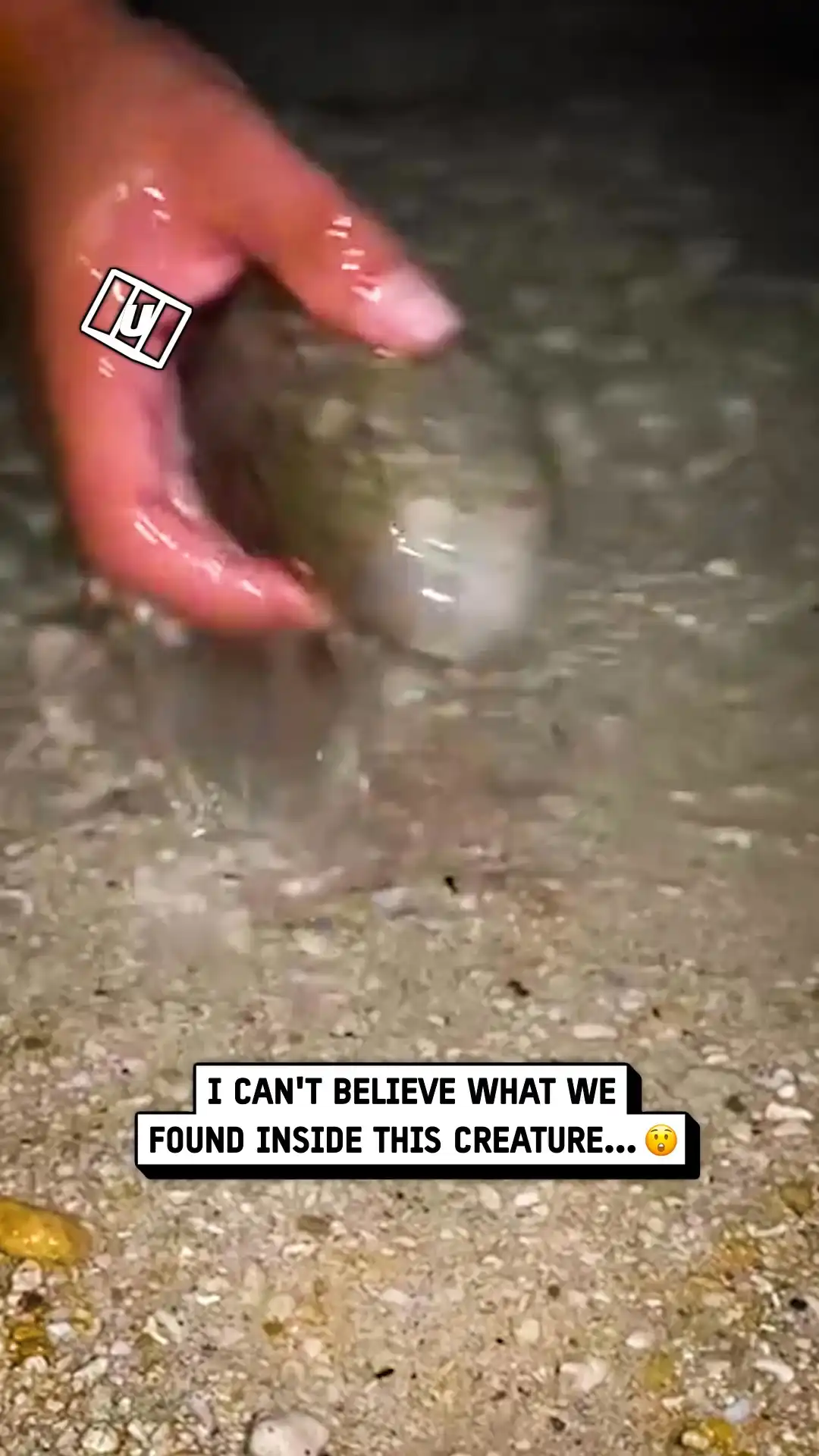 Cashed out after fishing 🤑🎣