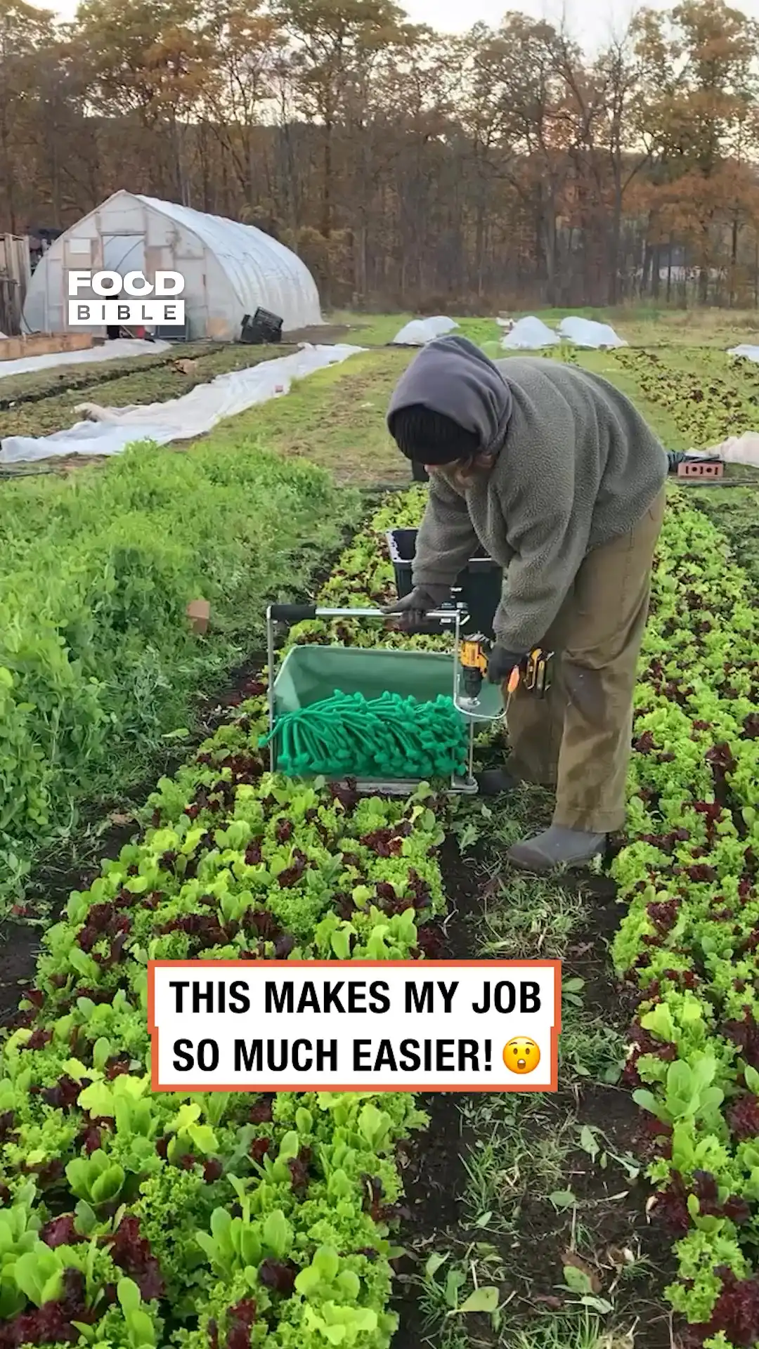Satisfying salad harvest hack 🥗