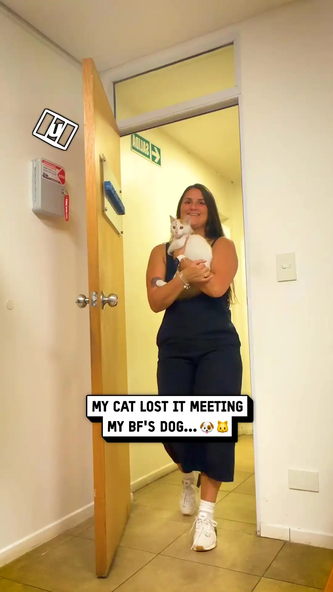My cat lost it meeting bf's dog 💀
