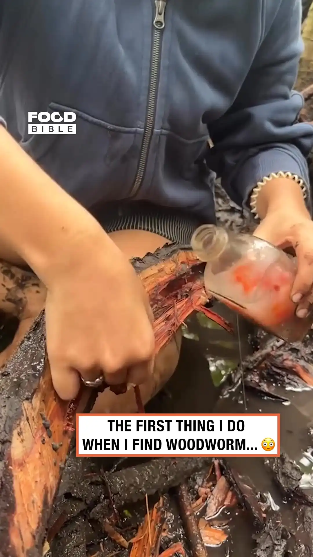 Eating fresh woodworm 🪱