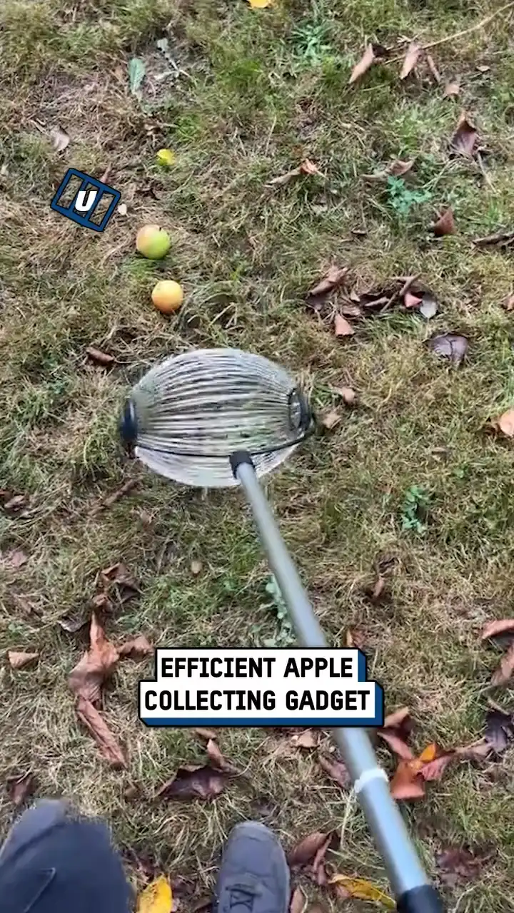 Efficient apple collecting gadget 🍎🤯
