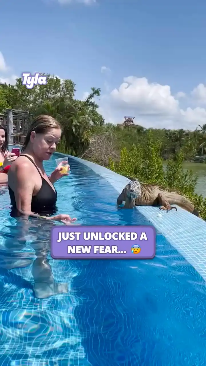 Maybe he should ask before jumping on next time 😂