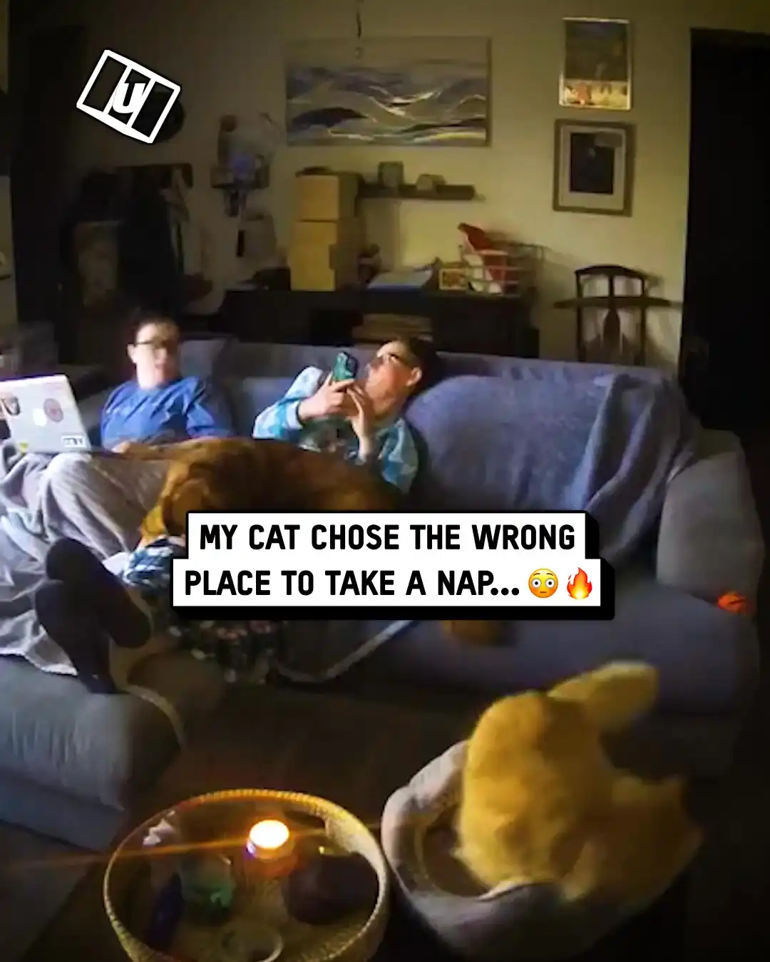 Cat's tail sets on fire