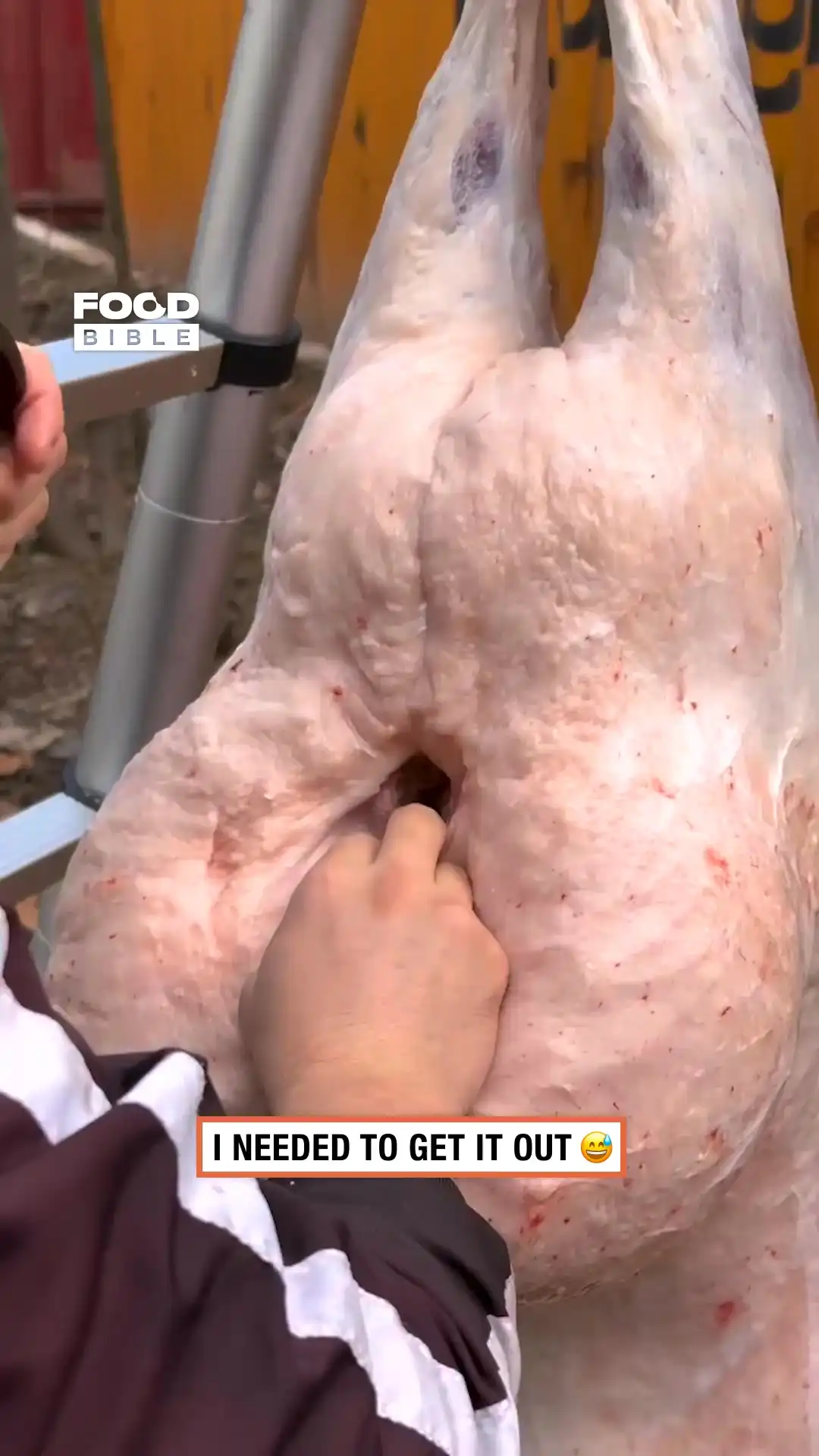 Slicing big meat 🥩