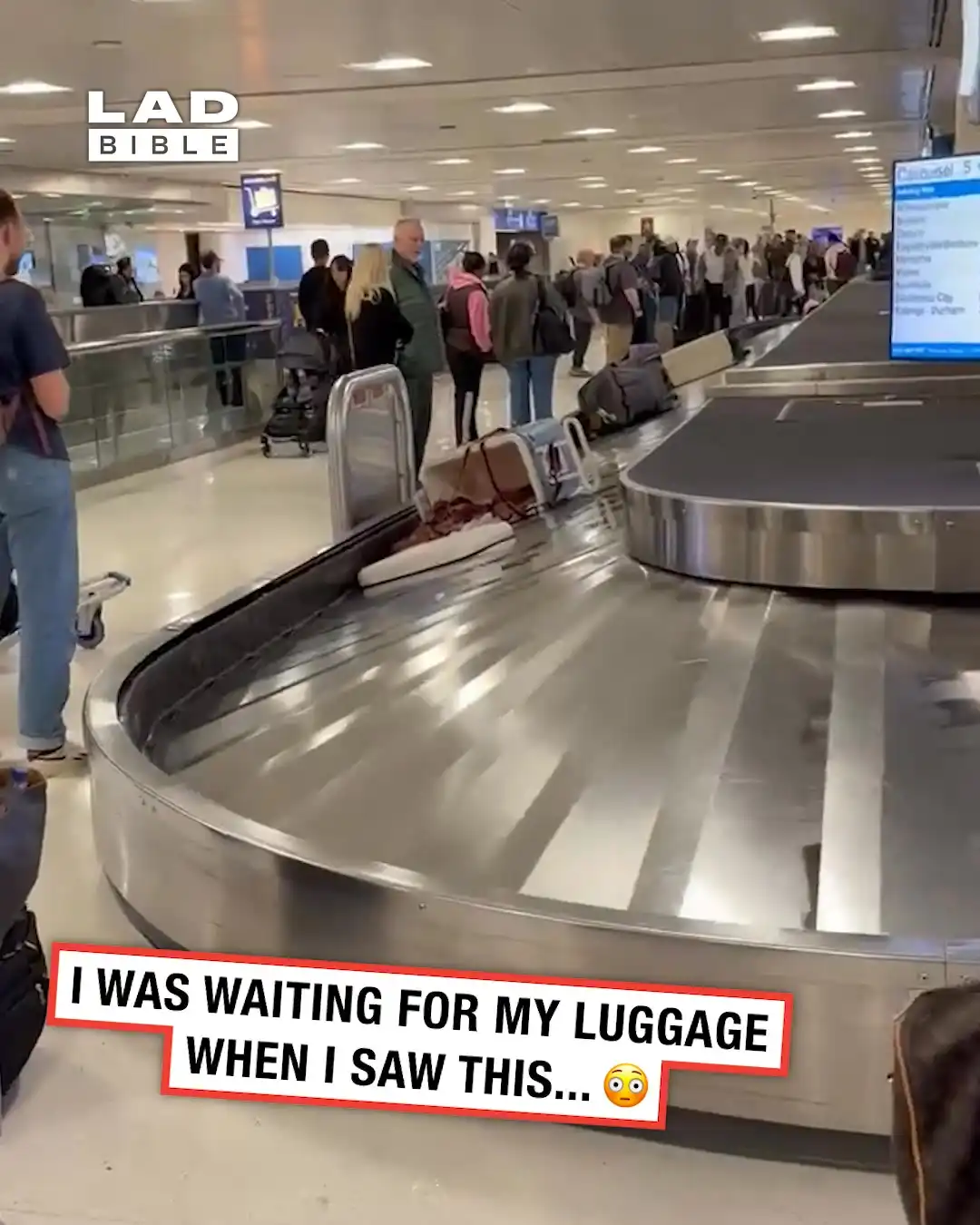 The most WTF moments of 2026 π±π³