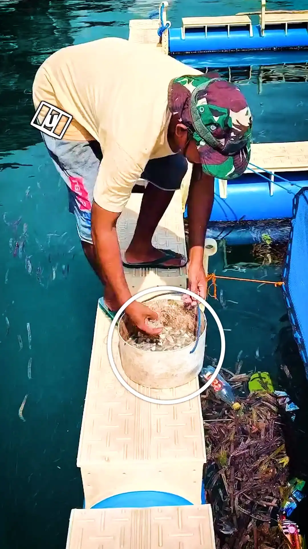 Fishy fight for food