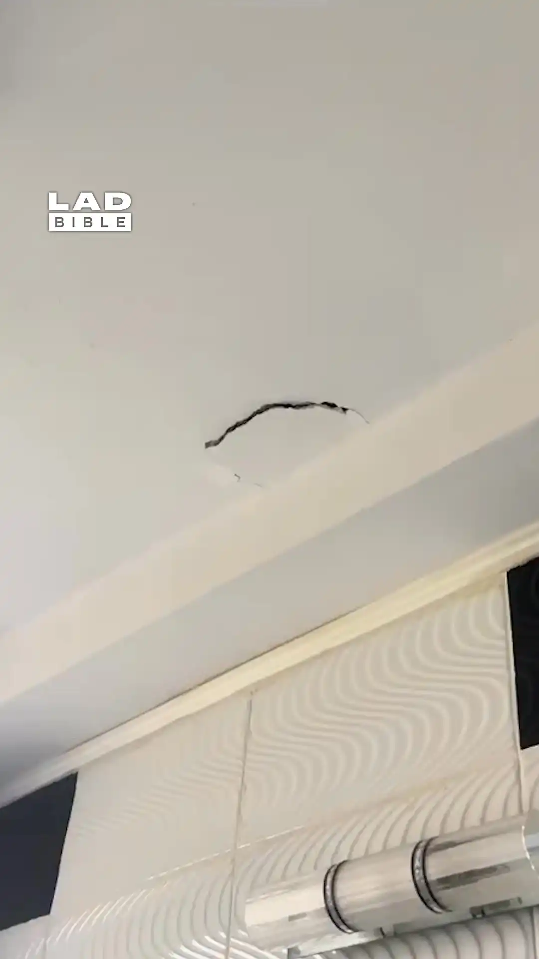 The neighbours drilled through my bathroom wall 😨