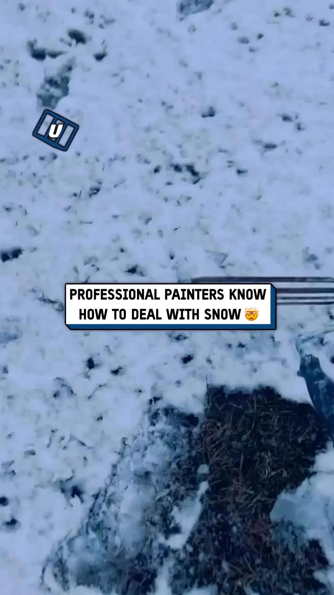 Professional painter snow hack