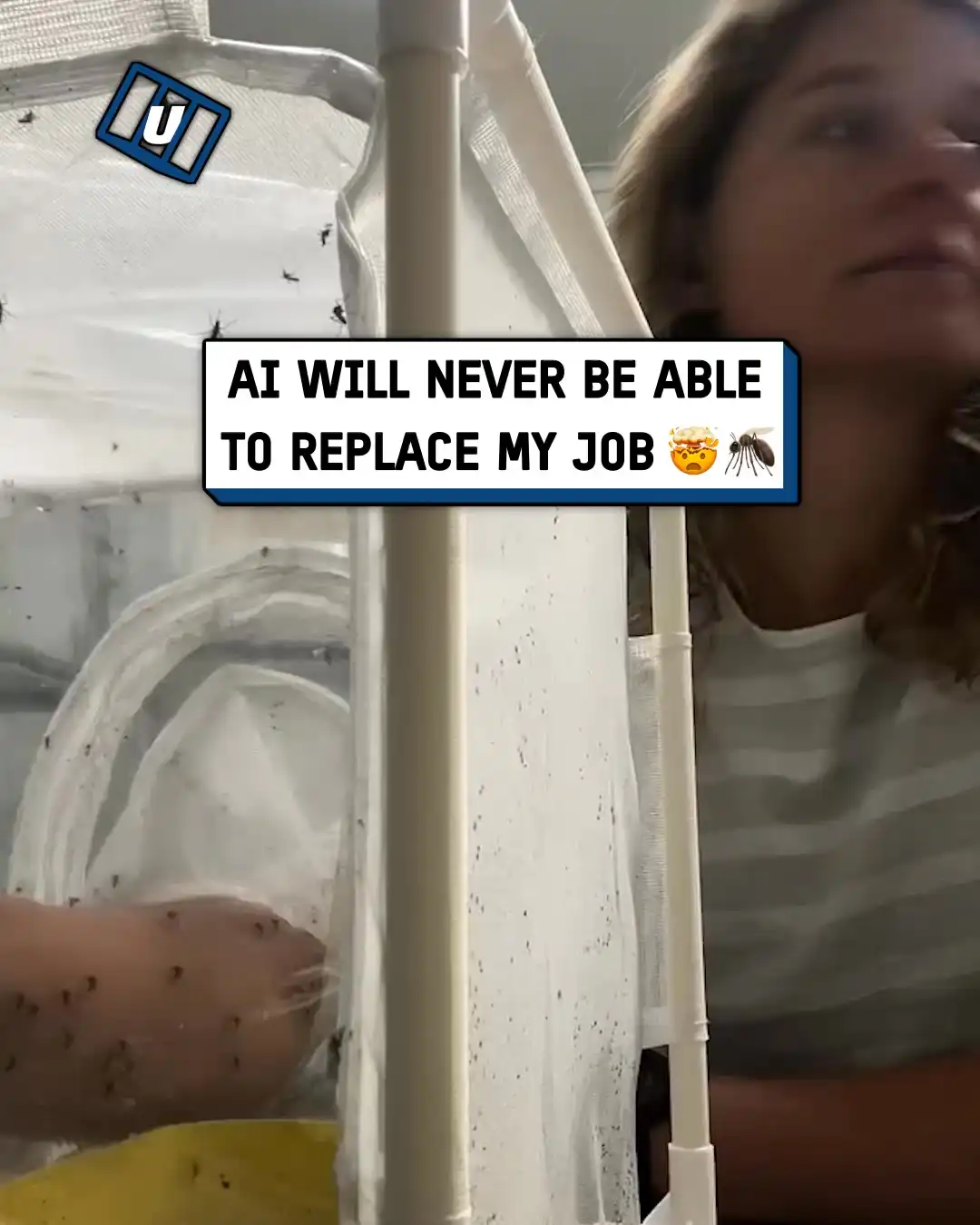 AI won't replace my job