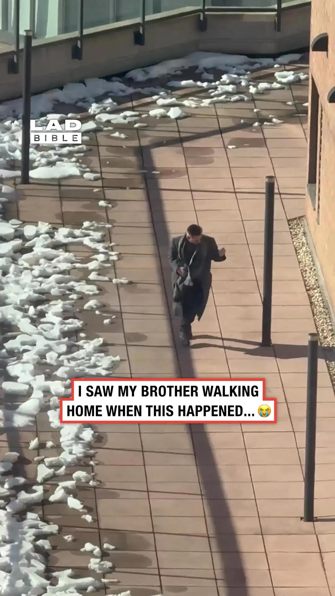 Caught this guy playing the air guitar on the way home 😅