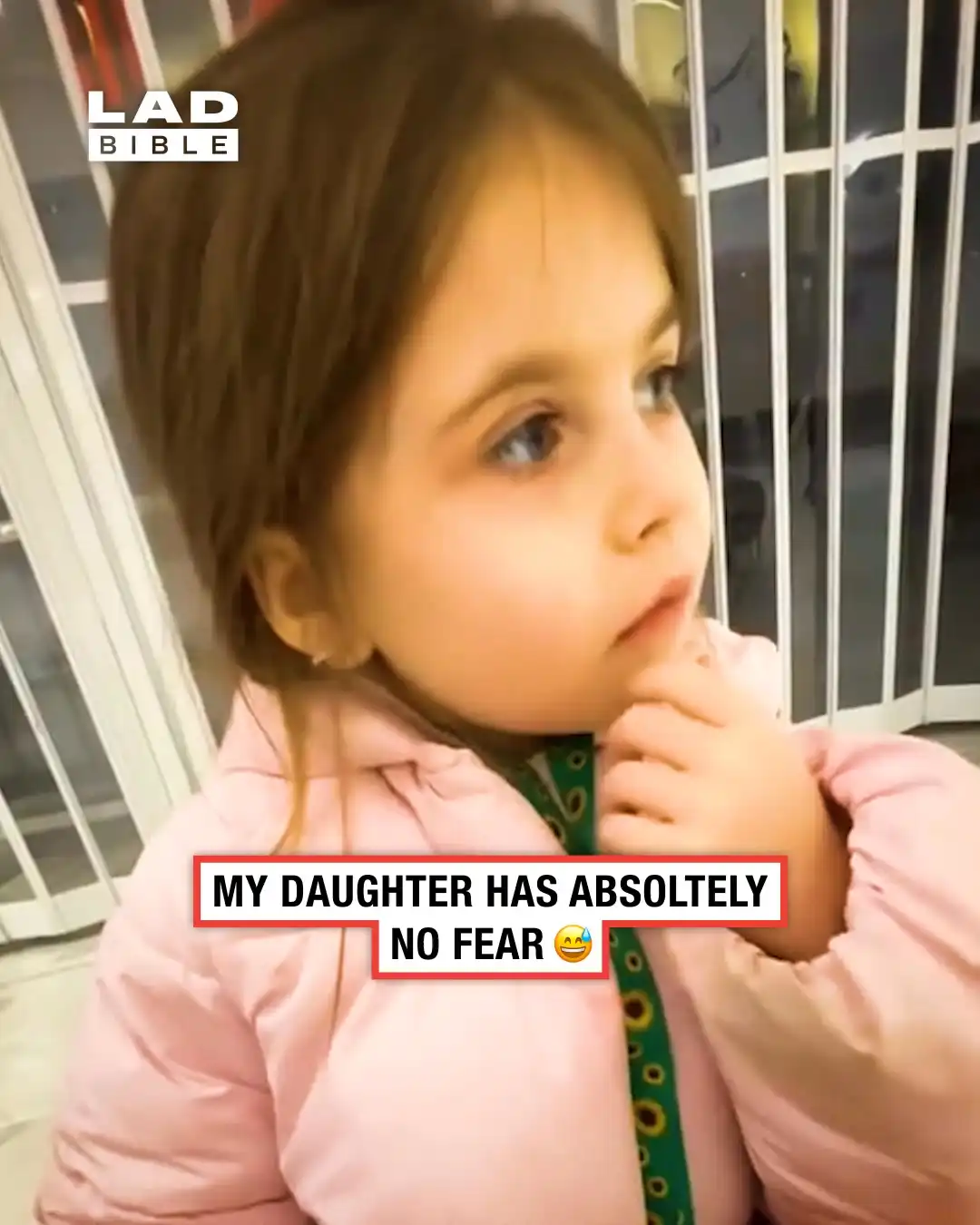 My daughter has no fear 😅😂