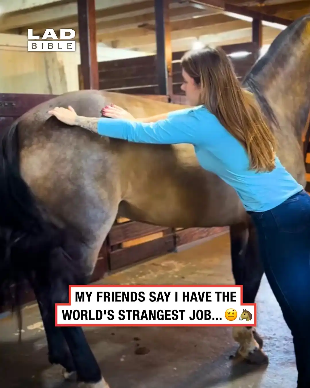 My horse needed physio 🐴