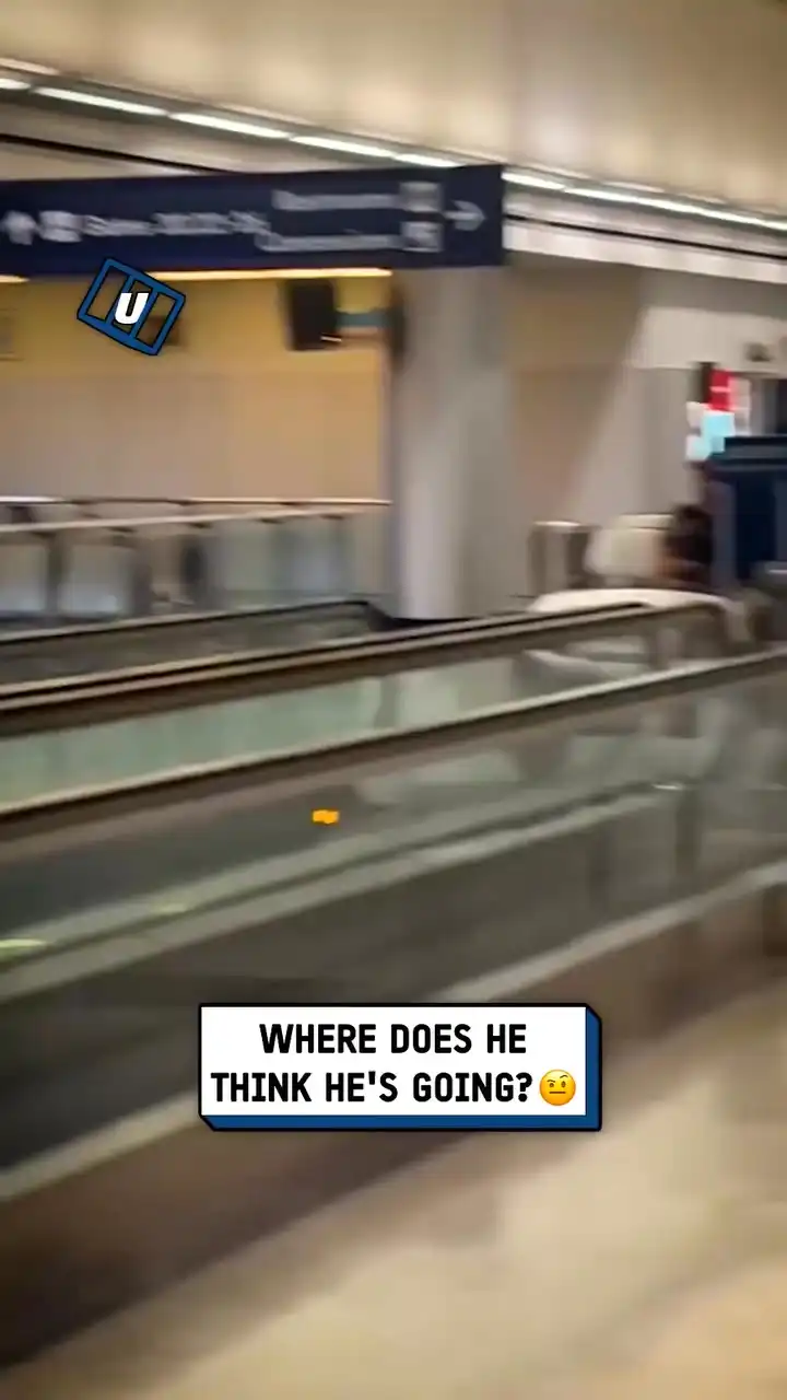 I didn't know you could drive on the airport walkways... 😳🤣 #fblifestyle