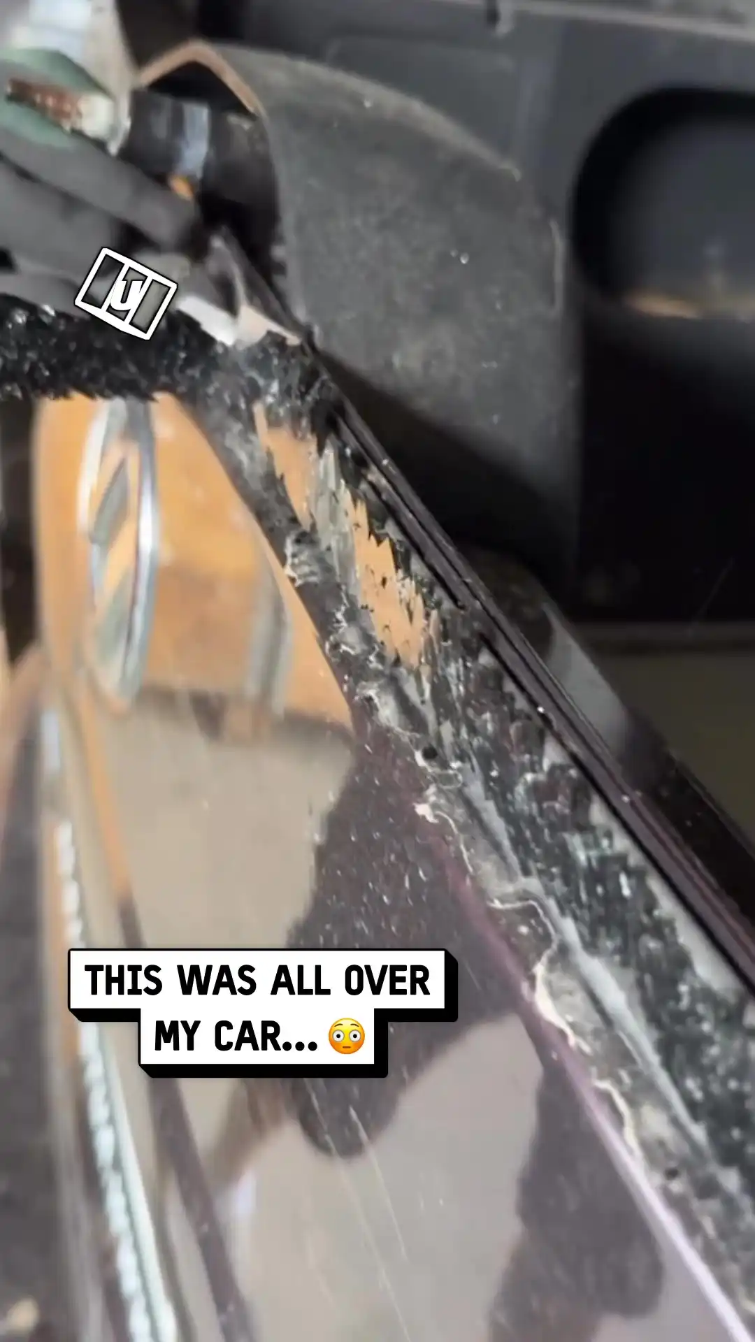 Satisfying windscreen scrape π€€