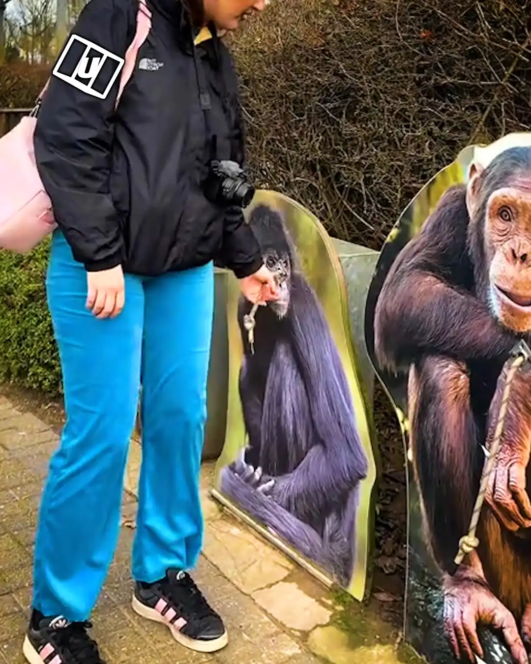 Zoo pull strength challenge 😅